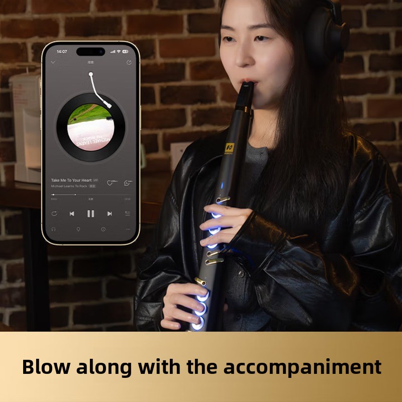 C20 true sampling domestic hig - đánh giá và giá Musical Instrument You Blow