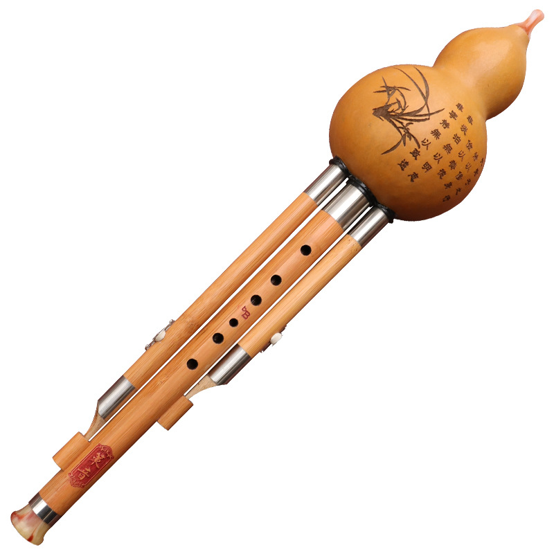 Nanzhu Gourd Silk Musical Inst - đánh giá và giá Musical Instrument You Blow