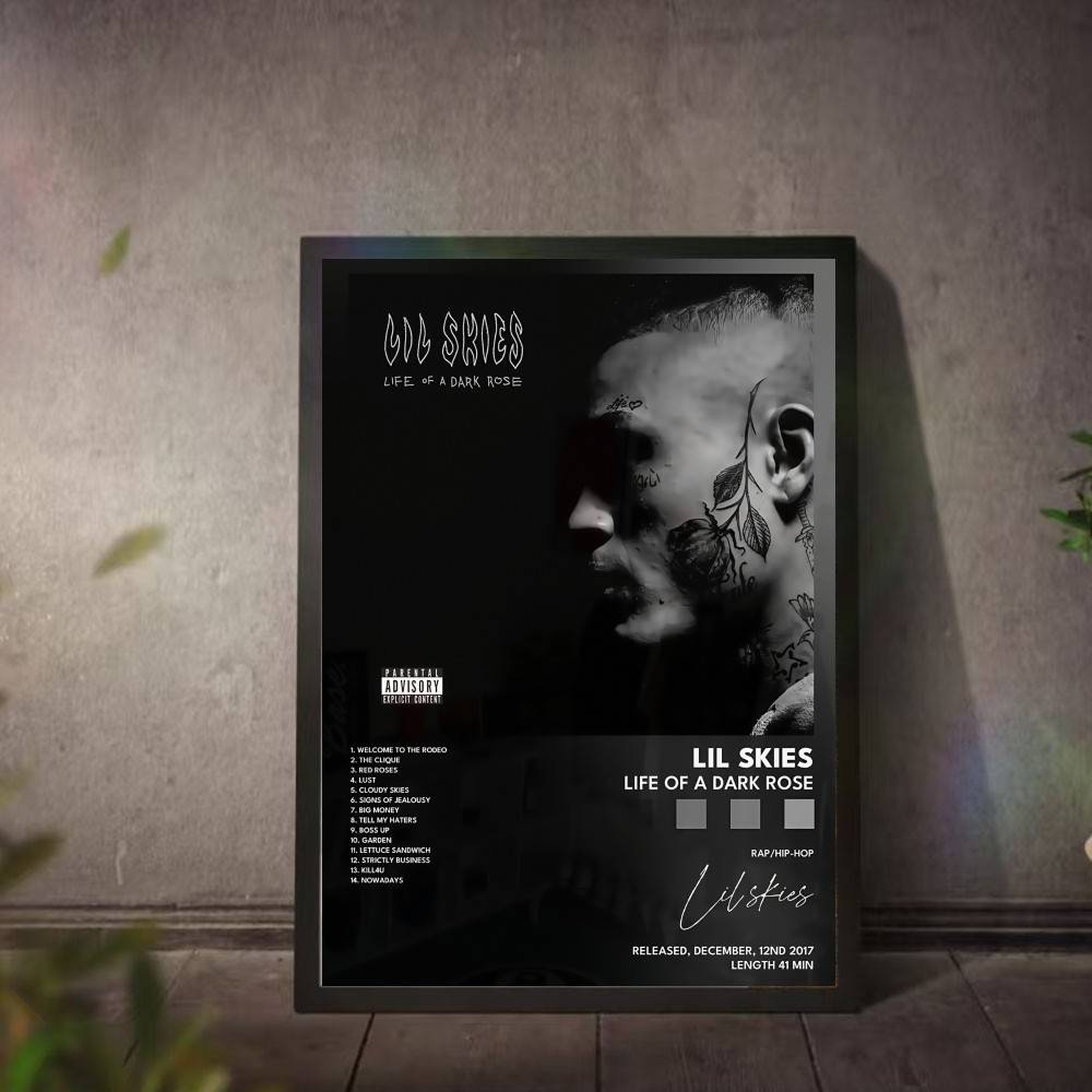 L-Lil S-Skies Poster Music Alb - đánh giá và giá L Musical Instrument